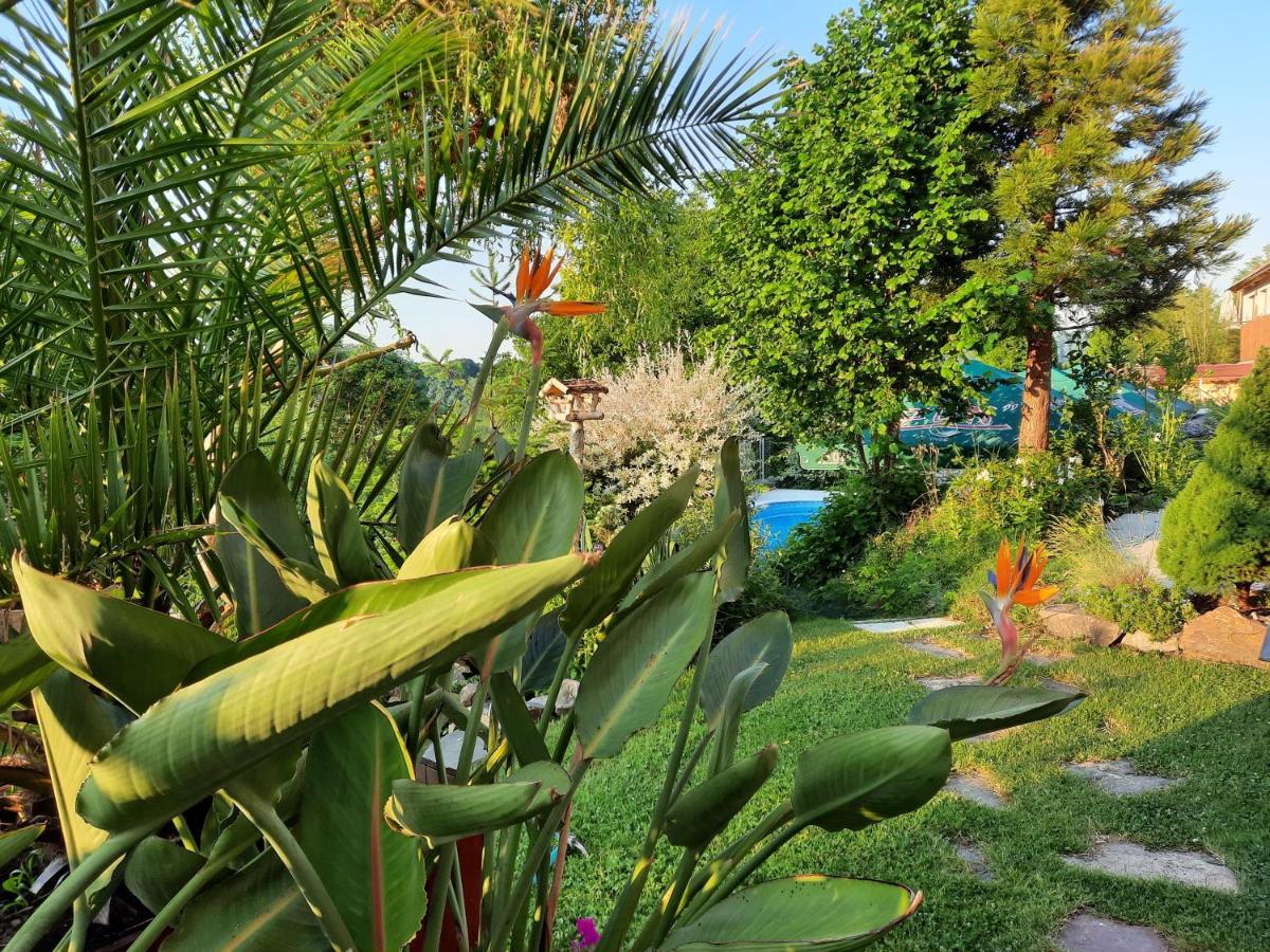 Penzion Zahrada Nad Rekou, Restaurace A Kavarna - Parkovani Gratis Zlatá Koruna Exteriör bild