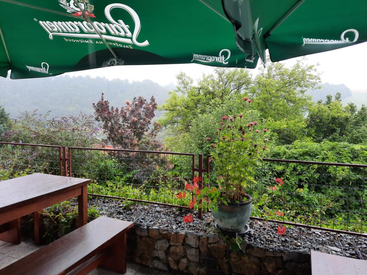 Penzion Zahrada Nad Rekou, Restaurace A Kavarna - Parkovani Gratis Zlatá Koruna Exteriör bild