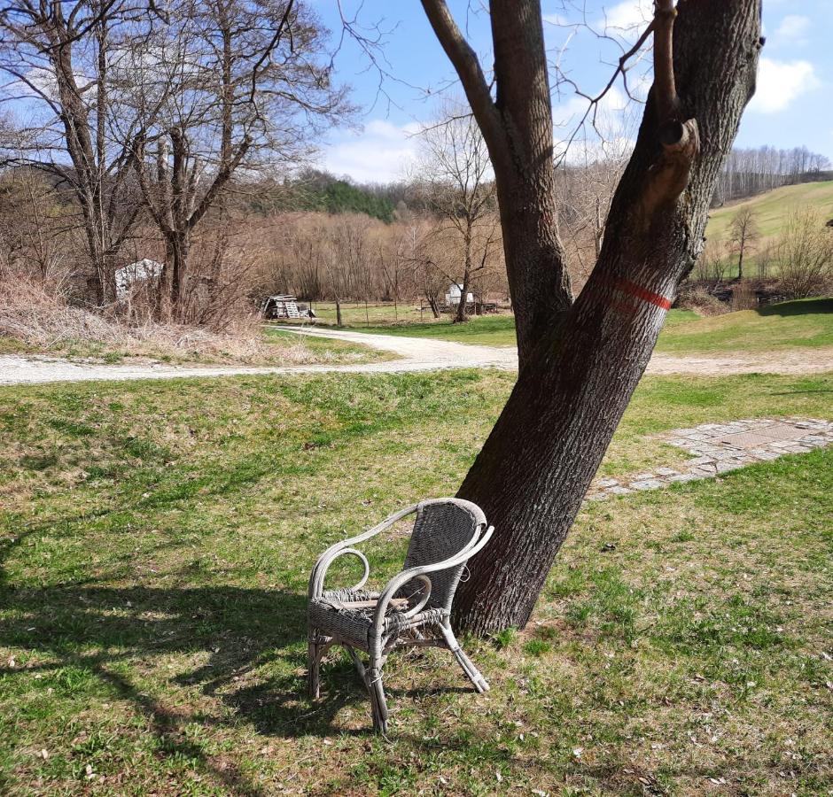 Penzion Zahrada Nad Rekou, Restaurace A Kavarna - Parkovani Gratis Zlatá Koruna Exteriör bild